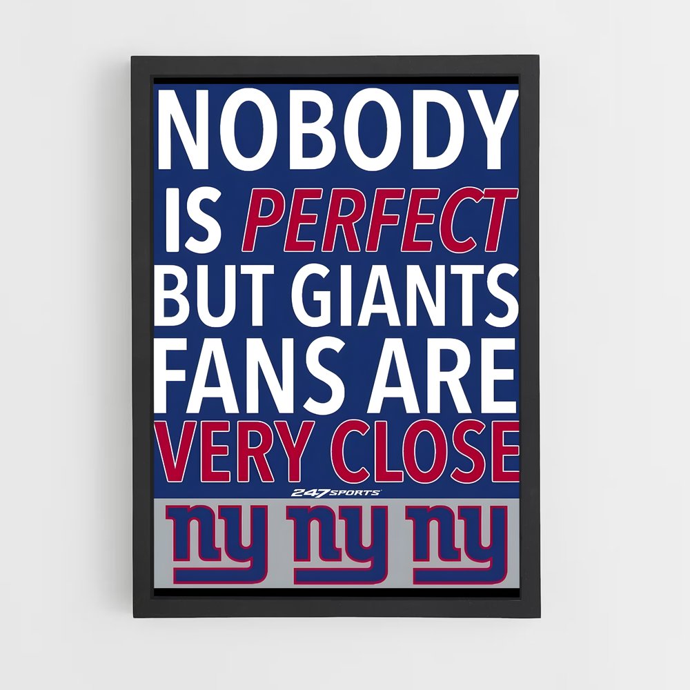 Poster Fans Almost Perfect (vue 2)
